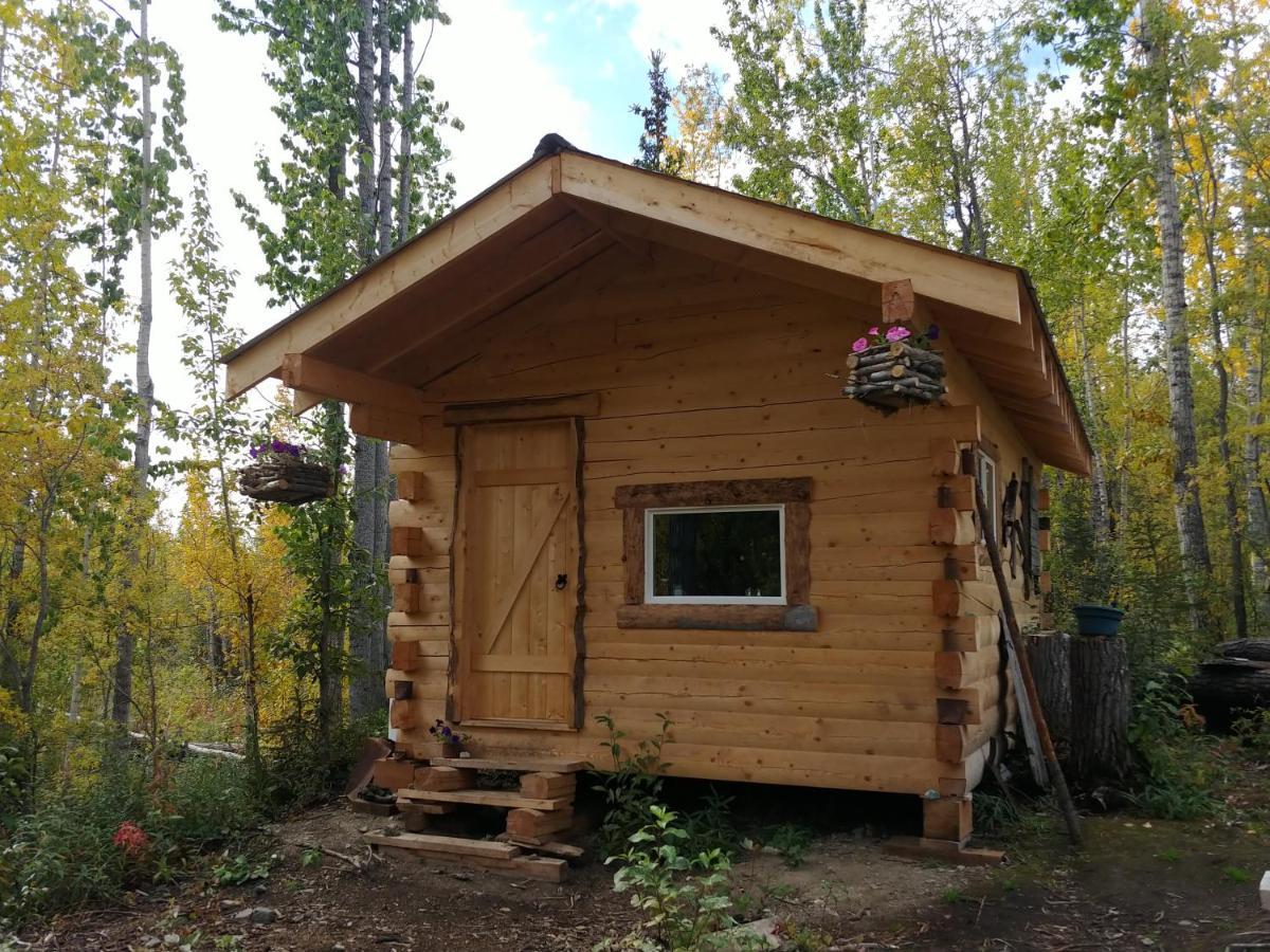 Blackburn Cabins - Mccarthy, Alaska Exterior foto