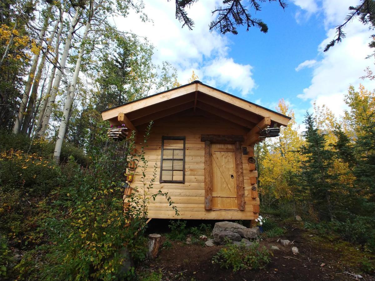 Blackburn Cabins - Mccarthy, Alaska Exterior foto