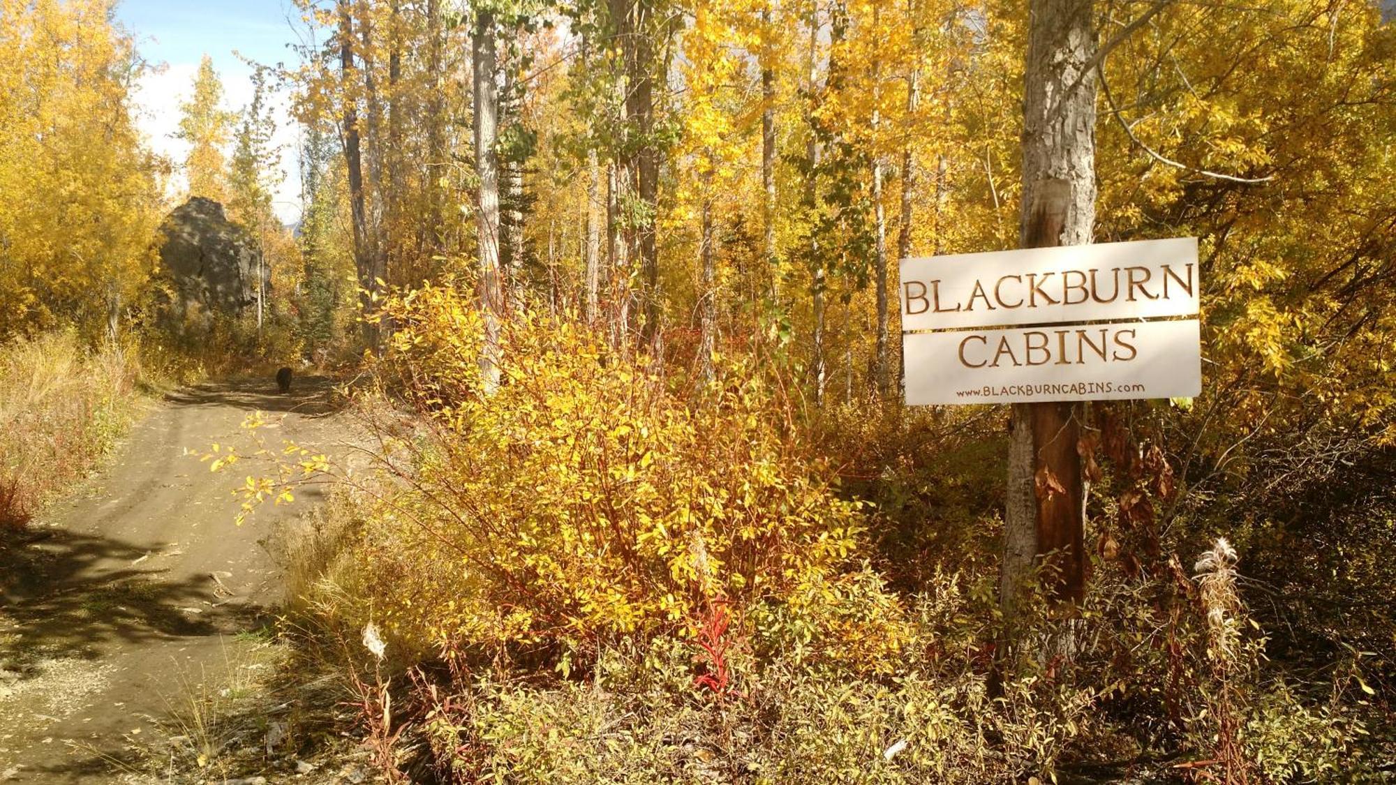 Blackburn Cabins - Mccarthy, Alaska Exterior foto