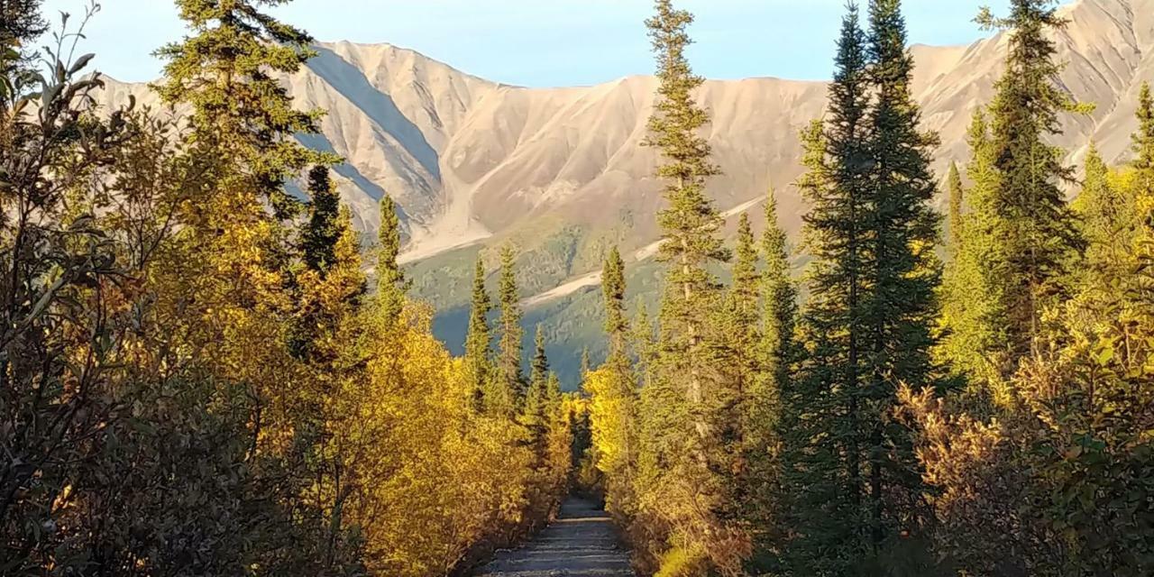 Blackburn Cabins - Mccarthy, Alaska Exterior foto